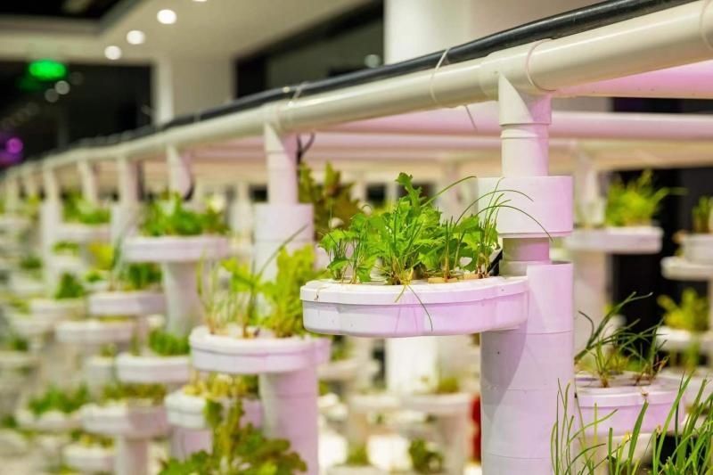 晋中|现代农业是啥样？来晋中国家农高区科创基地“涨知识”