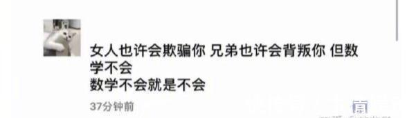 德国&刀柄断了,客服这样回复的:德国设计师不知道中国人会用刀拍大蒜