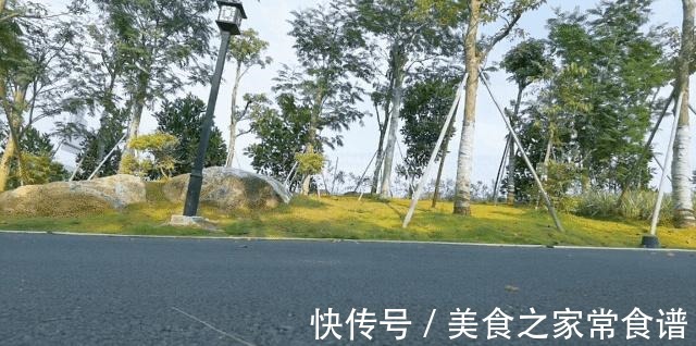 运动 这一双全能跑鞋真心不错！