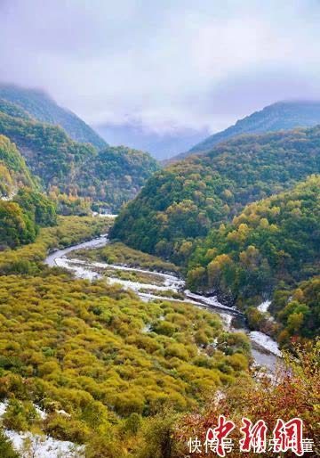 美景|张张壁纸！快来下载属于你的秋雪六盘山美景