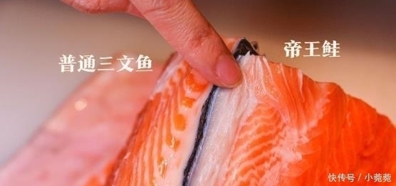 来自|世界上最贵的4大海鲜,第一名来自中国,但国人却几乎很少见过