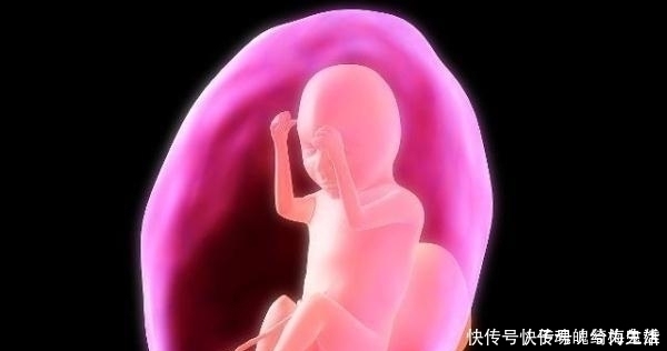 胎儿|别再“埋怨”胎儿了!孕妇辛苦的时候,胎儿也在努力保护妈妈呢
