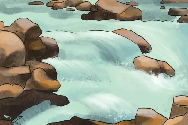 四会沙糖桔|收藏!漫画版的四会旅游攻略来啦!
