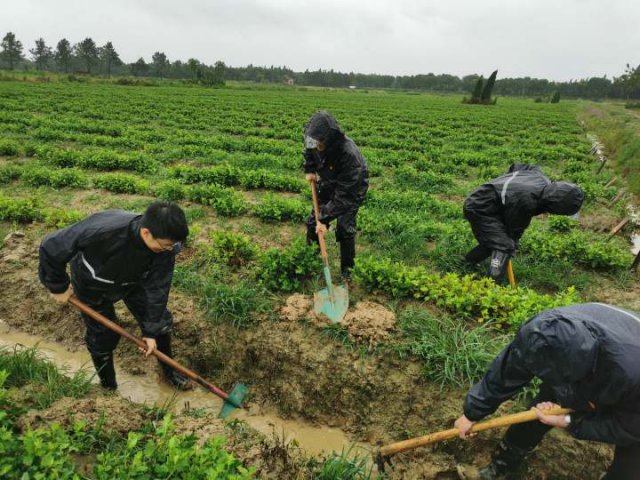 城镇|抗击台风，石门镇坚守美丽城镇安全防线?