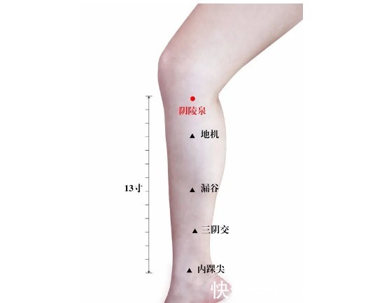 老中医|老中医告诫:6个症状是脾虚信号!艾灸5穴最养脾,脾不虚,病不找