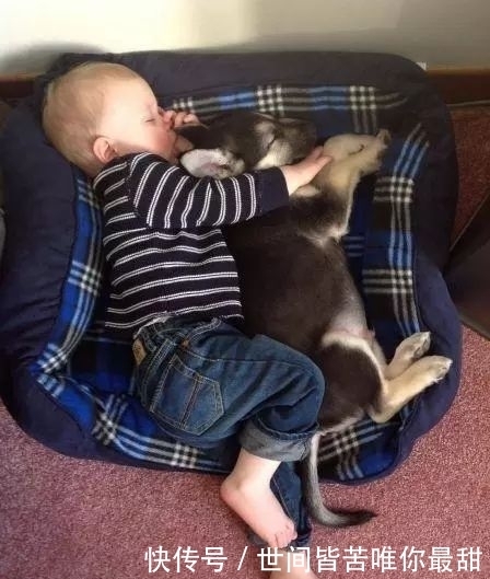 开心一刻笑话:姐夫个性木讷寡言,与内向的