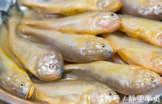 腥味|煎小黄鱼应该热油下锅还是冷油下锅?掌握方法,煎好的鱼没有腥味