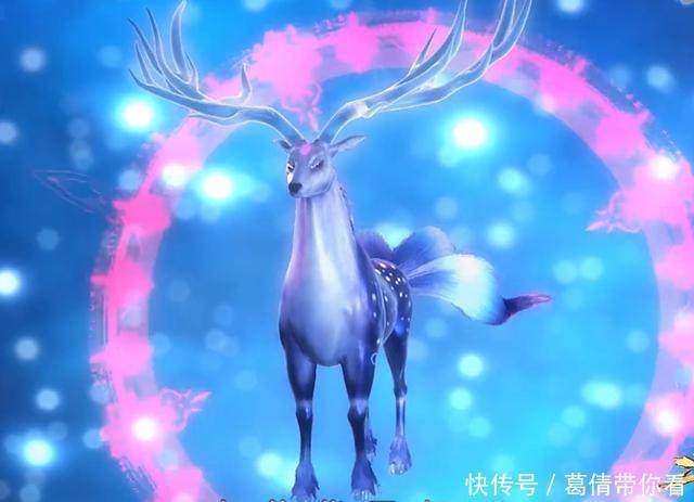 斗罗大陆:我的武魂是“武灵邪龙”,快来测试一下你的专属武魂?