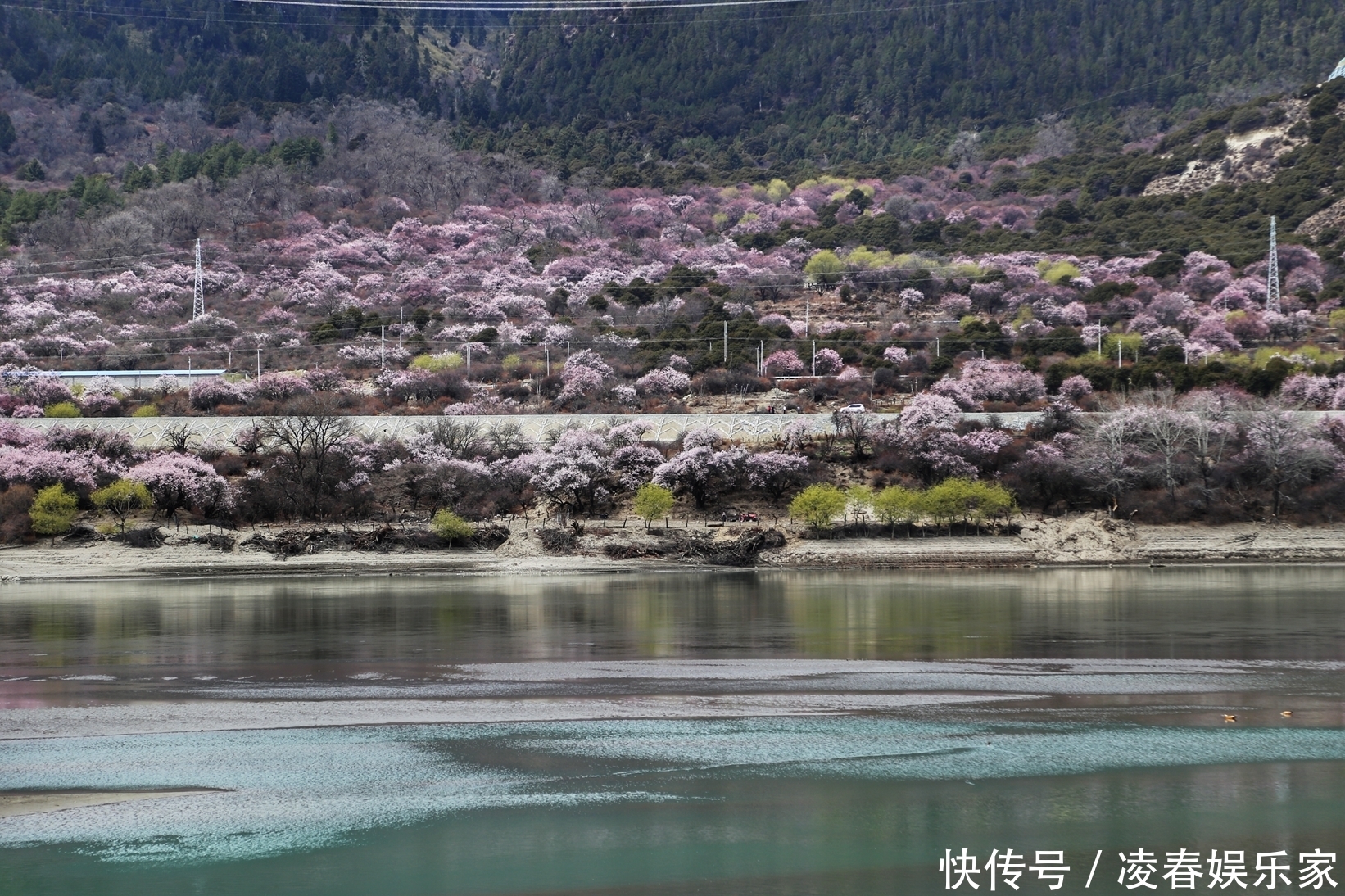 林芝的桃花开了，一团一簇美不胜收，像极了北欧童话般的样子