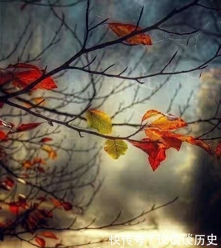  五律·江南秋雨正霏霏