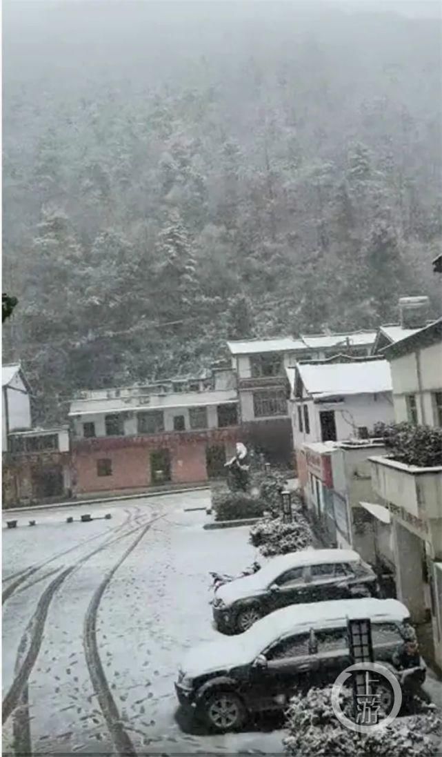 道路结冰|巫山迎来今冬第一场雪，这些地方也开始雪花飘飘