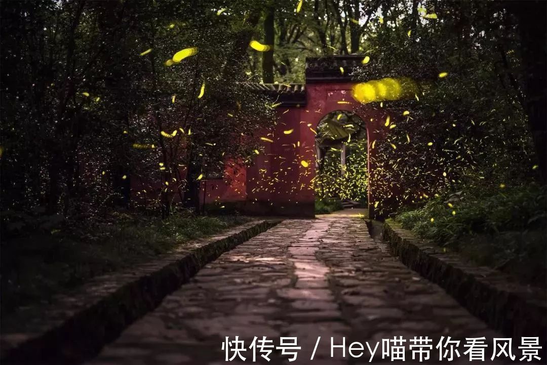 萤火虫|暑期带娃的5个好去处，去过一次还想去