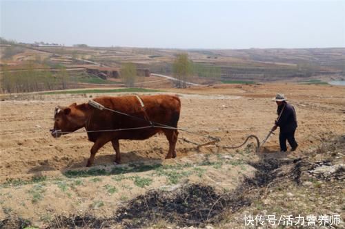  研究|“吃得少一点，人更年轻活得更久一点”，德国研究告诉我们答案