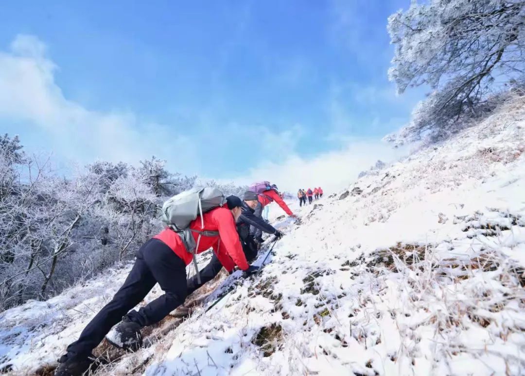 美景|华顶迎今年首场雾凇！天台山美景刷爆朋友圈！