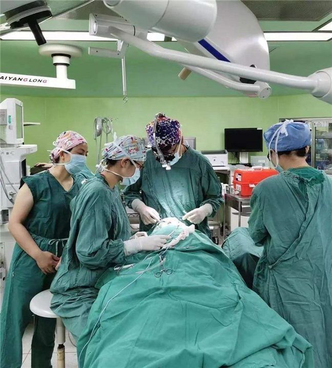 人类|为什么动物生娃都很轻松,人类却很痛苦?建议成年人都看一看