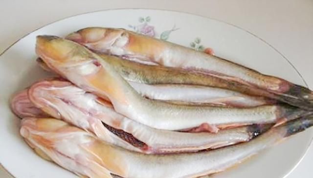 海鱼|以后去市场,就买这5种海鱼,便宜又好吃,鱼铺老板都要夸你懂行