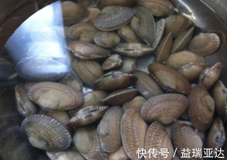 洗花甲|刚知道,洗花甲只放盐是错的,内行人:只需一招,花蛤吐沙拦不住
