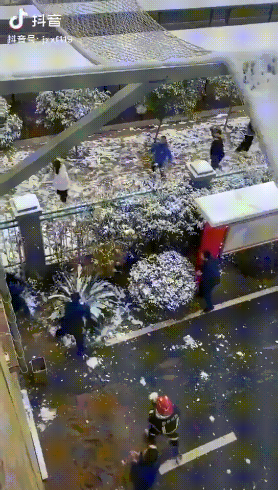 同学|南方同学见到雪有多高兴？网友：有人在玩雪，有人在保护玩雪的我们