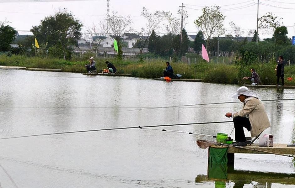 压箱底的漂调钓技巧，野外调漂相当容易搞定！