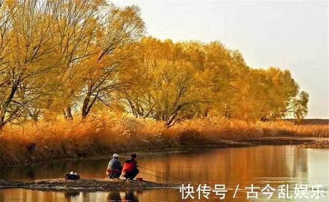鱼类|入秋之后野钓大鱼，钓位应该如何选择？钓深水还是钓浅水？