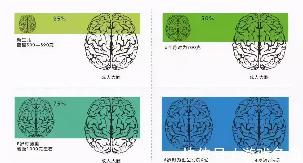 老祖宗|人生最重要的是0-6岁，而不是大学