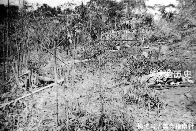 制造|侵华日军制造的戈山厂惨案 刀劈枪杀把孩子扔进火堆