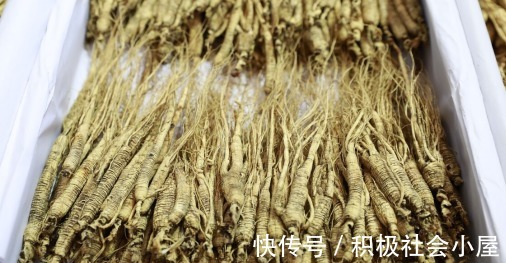 葛根|50岁高管患高血压，还做这3件事，导致脑出血，医生：再不改变，容易丢命