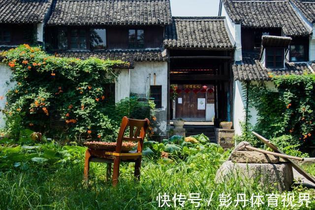 闲书|6首悠闲诗词:一壶清茶许流年,半卷闲书慰平生