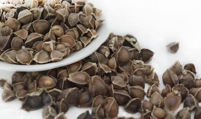 辣木叶|血糖过高,手脚会出现3个症状,再不注意可能会发展成尿毒症