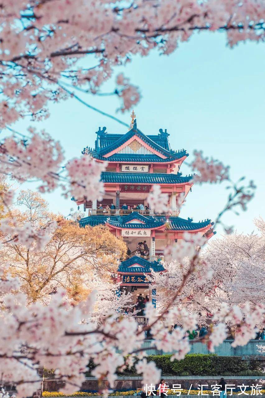 小火车|再过30天,世界又要被惊艳了!因为,中国的春天到了