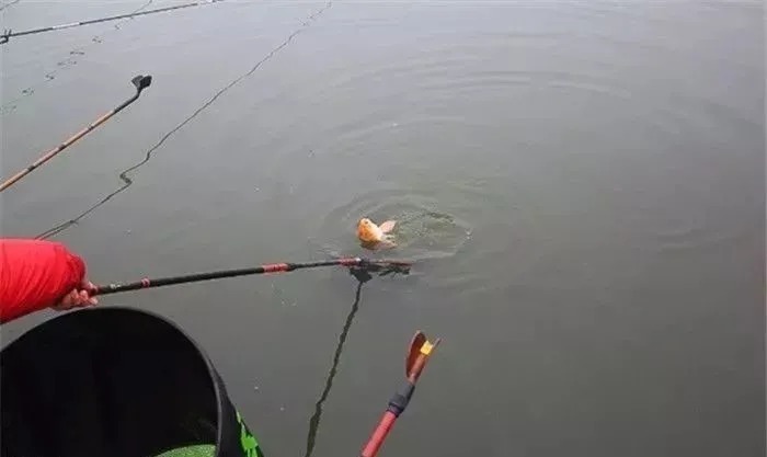 无鱼咬钩是什么原因?记住以下三点鱼获马上变多