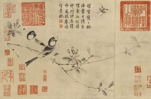 鉴赏｜写生珍禽图，宋代花鸟的典范