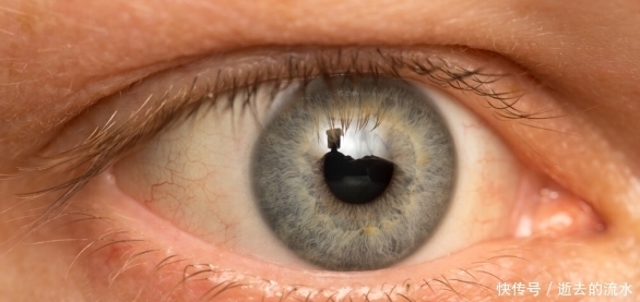 56岁大姐不吃肥肉,甘油三酯9.8,医生:2素天天吃,血脂不高才怪