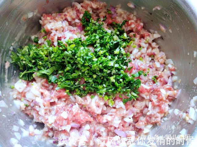 这菜5毛钱一斤,包饺子真好吃,个个肚大不走水,咬一口满嘴鲜汤