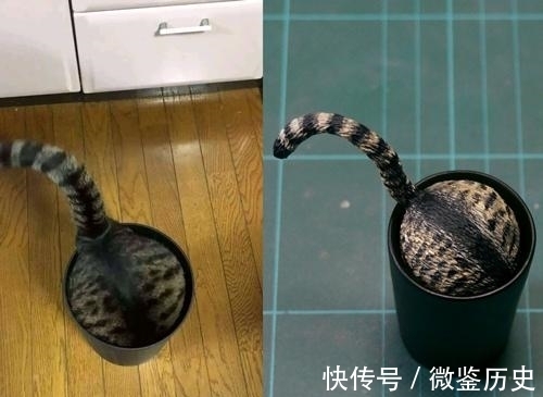 还原|全球的猫都想屏蔽这个日本人,他到底做了多少沙雕手办?