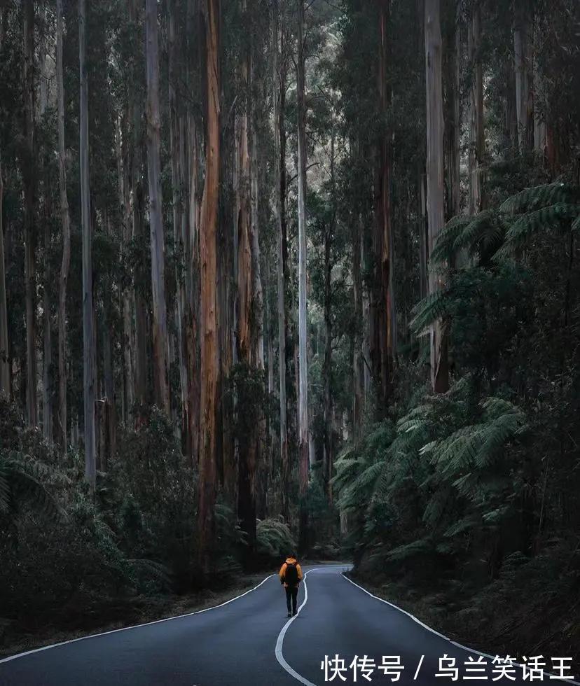 |【被窝段子20220126】再小的努力,乘以365都很明显