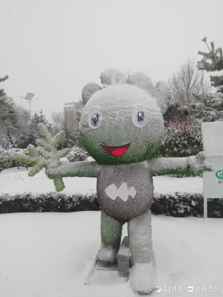 一片银装素裹！晶莹雪花把日照五莲芙蓉广场装扮的格外美