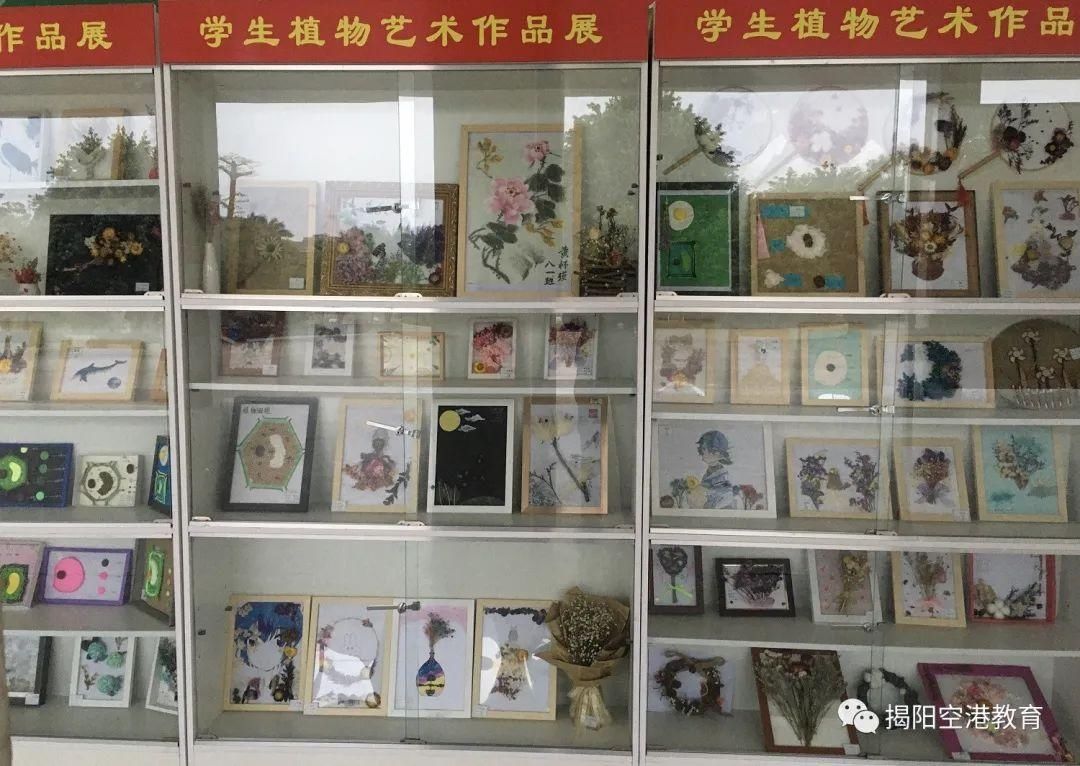 举办|渔湖教育组凤美初级中学举办第四届植物艺术作品评展活动