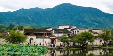 生僻字|杨万里饱含哲理的一首诗,无一生僻字,却令人赞不绝口