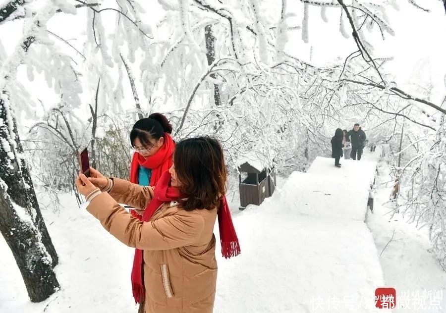 世界|这里是光雾山，是如画的冰雪世界