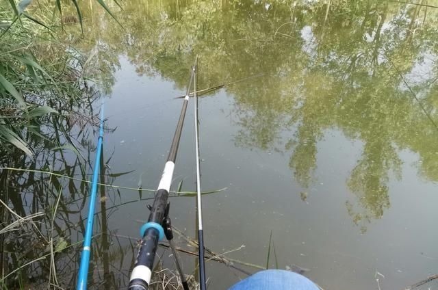 钓鱼影响鱼情的重要因素，哪个排第一位，水温、溶氧量谁更厉害