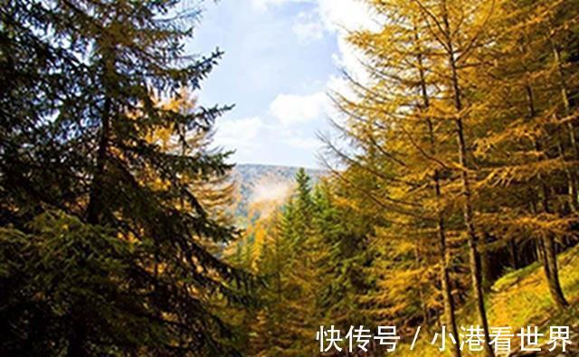 九寨沟|山西有一座清凉的山，曾被历代帝王避暑青睐，景色不输九寨沟