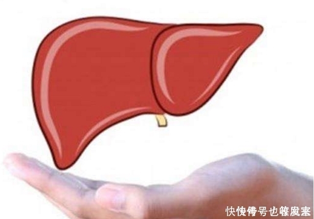 肝好的人,手上可能有3个“记号”,若发现一个,恭喜,肝较健康