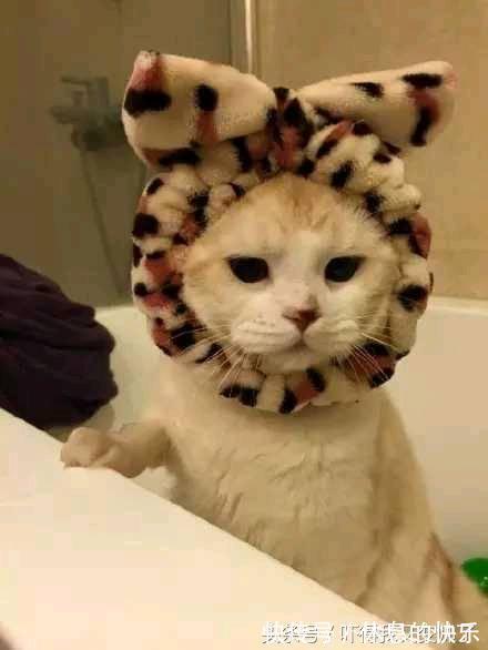 |开心一刻笑话:公交车上开着空调,我忍不住将体内的胀气排出体外