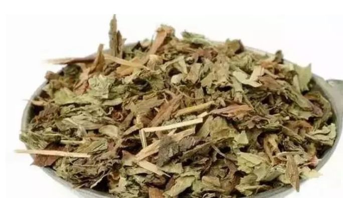 蒲公英|自己“晒干”的蒲公英,能当茶泡水喝吗有什么“禁忌”吗