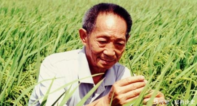 袁老 袁隆平去世后,井柏然虞书欣上热搜被骂,为了流量没底线?