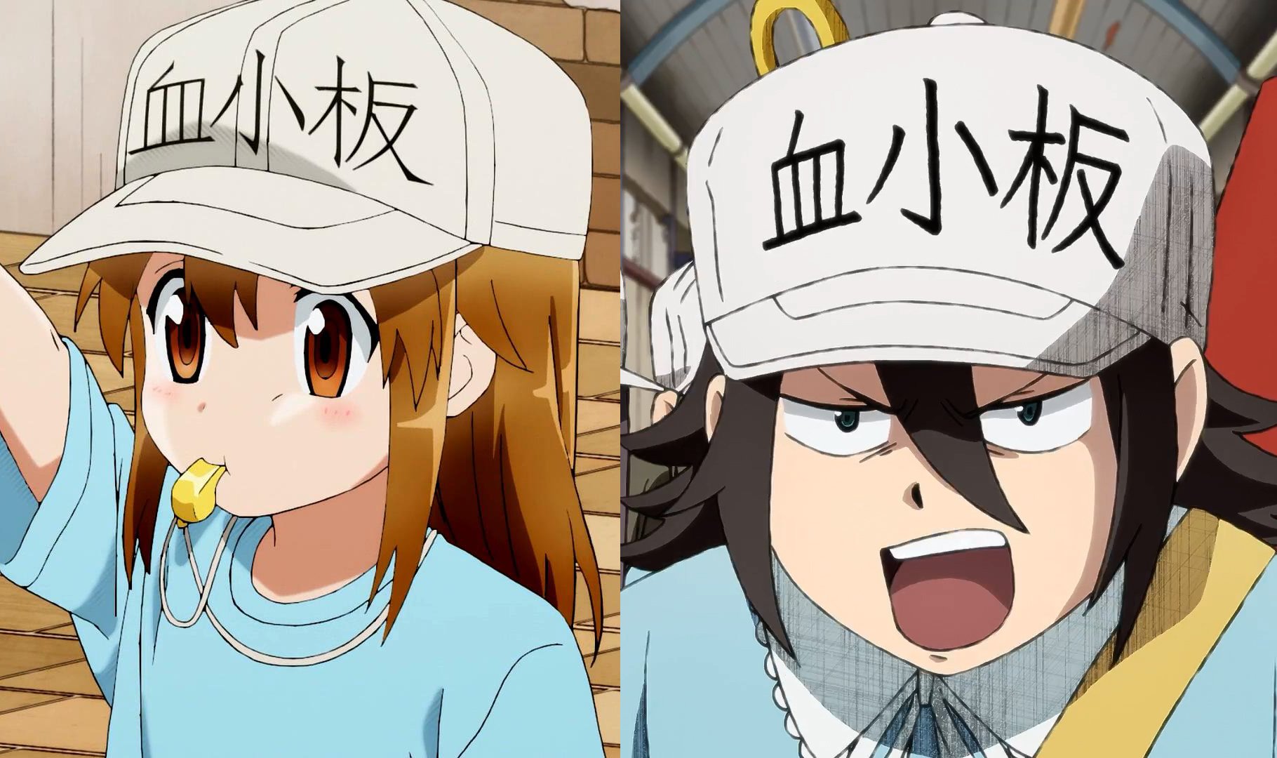 两种画风，双份可爱，《工作细胞》中的血小板你更喜欢哪一位？