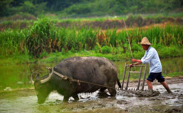 老话“可怜之人,必有可恨之处”,其实下一句更经典,却少有人知