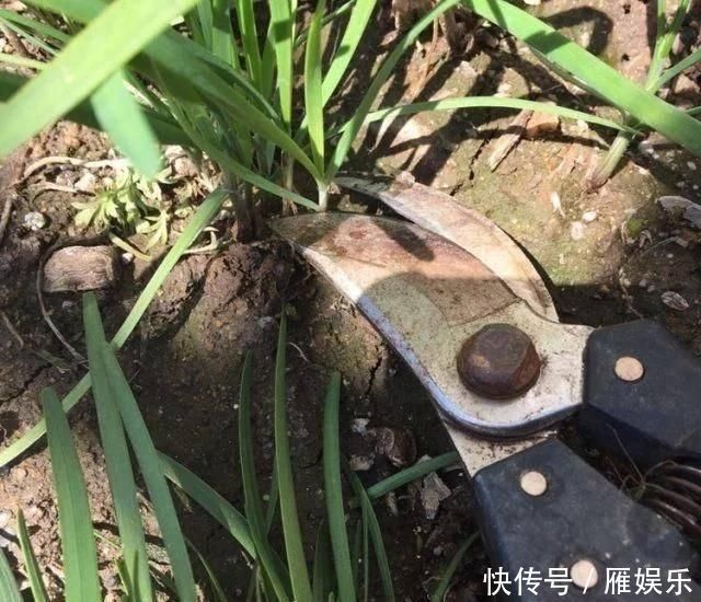 底脆皮软馅香的三鲜水煎包,这么做才好吃