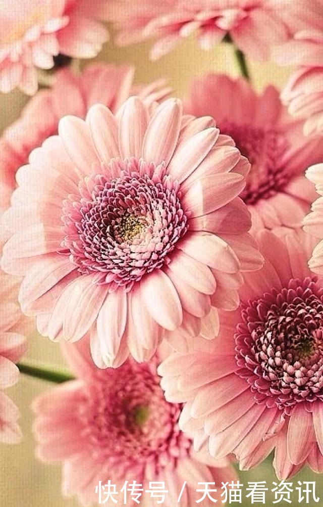  经典语录|激励人心的经典语录，句句有内涵，读读受益匪浅